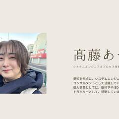 システムエンジニア＆プロセス改善コンサルタント