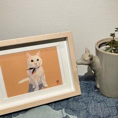 猫イラスト　ポストカード (額縁付き)