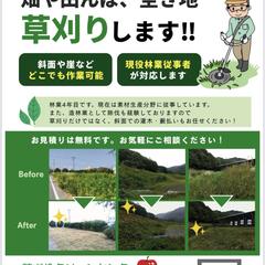 チラシ_ポートフォリオ③