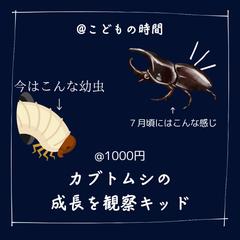 子育てイベント　SNS代行