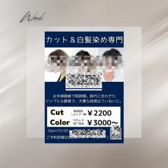 カットカラー専門美容室のミニポスター