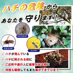 インターネット用画像