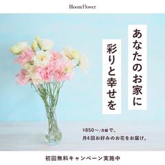 【架空】Instagram広告用バナー