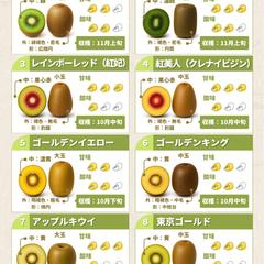 キウイ農園の品種一覧