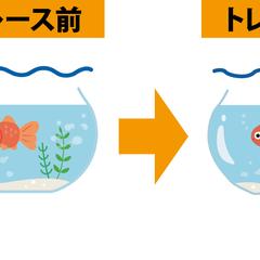 デザインのトレース