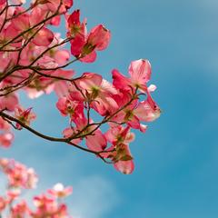 豊かな学びの提案と惹きのある文章の作成をします！