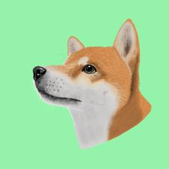 友人の実家の犬さん