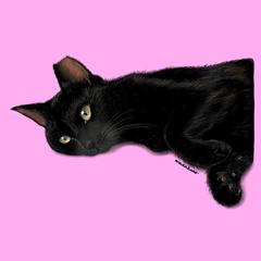 友人の猫さん