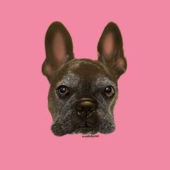 友人の犬さん