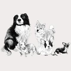 保護犬ゲームキャラクター制作