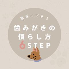 個人のインスタグラムアカウント