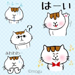 もちねこくん