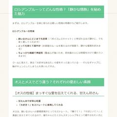 ライティング記事のサンプル