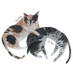 まったり猫