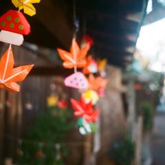 秋の稲荷神社