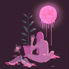 moonlight