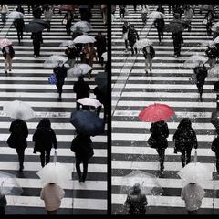 小雪の帰り道