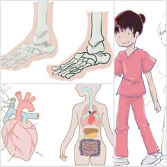 医療系 発表・説明用のオーダーメイド イラスト