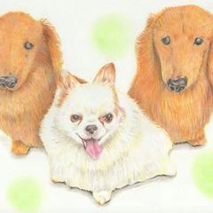ハイクオリティでおしゃれな動物のイラスト描きます