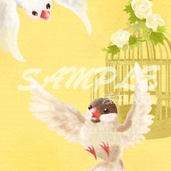 文鳥と鳥かご
