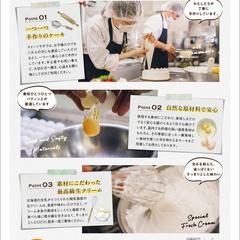 ショップチラシ