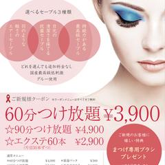 美容系　まつ毛エクステ専門店の広告