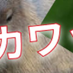 水族館のバナー
