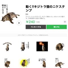 LINEアニメーションスタンプ