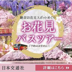 お花見バスツアー　バナー制作