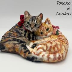 仲良し猫ちゃん