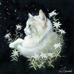 愛猫の肖像画
