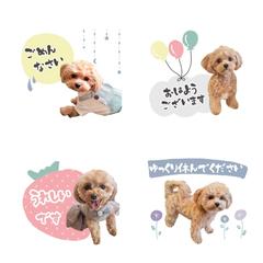 オリジナルLINEスタンプ作成