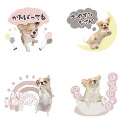 オリジナルLINEスタンプ作成