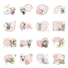 オリジナルLINEスタンプ作成