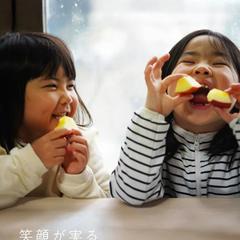 りんご農家のホームページ制作