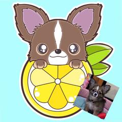 ウチの子似顔絵