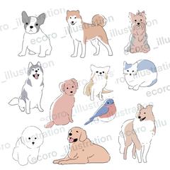 ペットのイラスト作成