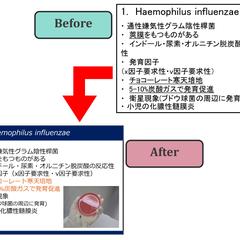 医療　講義資料代行作成