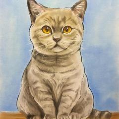 猫ちゃんパステル画似顔絵