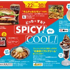 イオン「SPICYorCOOL」| チラシ