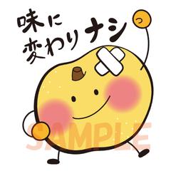 規格外梨のPOP