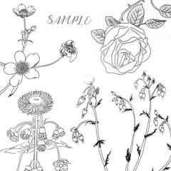 人物・植物・シーン・風景など、ご相談ください。