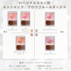 パーソナルカラー分類：チーク