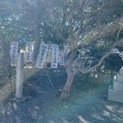 龍口明神社参拝