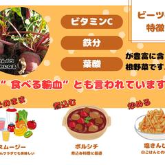 ビーツの紹介