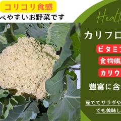 カリフローレの紹介