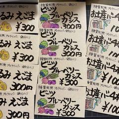 筆ペン手書きプライスカード