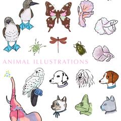 アニマルイラスト