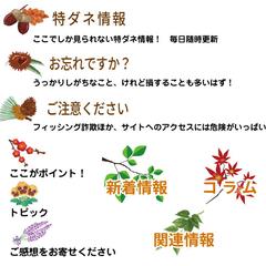 タイトルカットを作成します