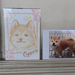 似顔絵作品